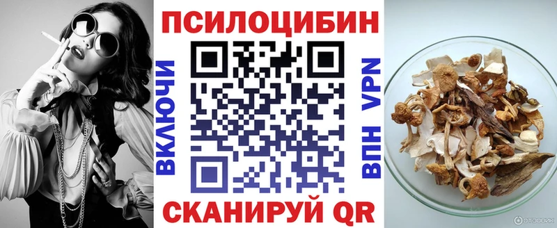 Купить закладки  Починок  Галлюциногенные грибы прущие грибы 